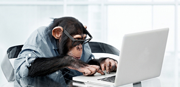 Entrepreneurial Groundhog Day